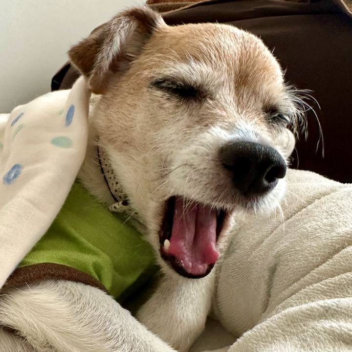 4a16abe8 4207 4314 8dd3 9d08981fa060 1684217132770