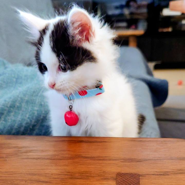 4a16c0f6 f960 4b01 b062 fe35d3e73446 1758435577923