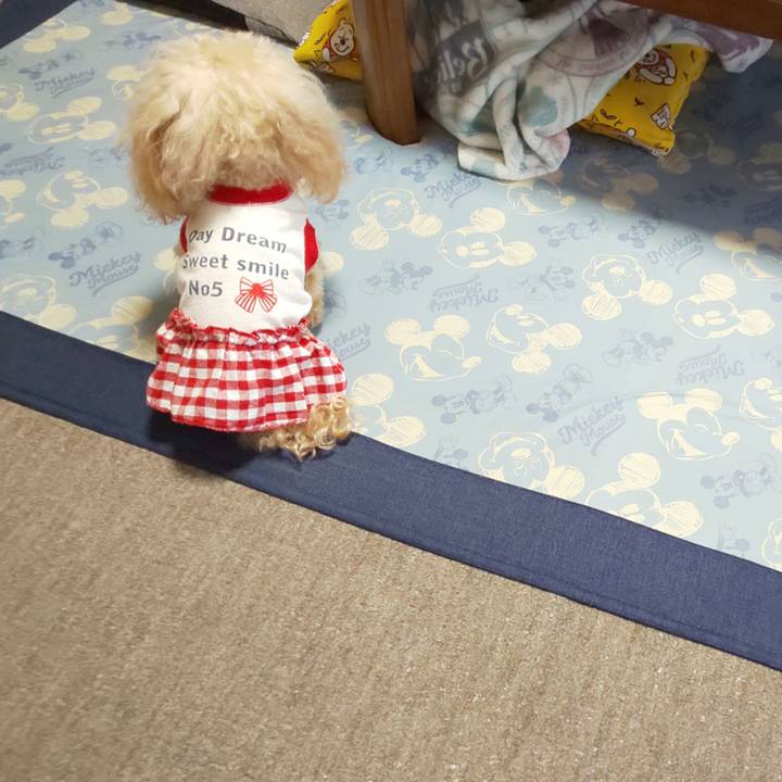 4a1712cd 6c0a 4bf7 8ba8 9eeb24cc70f4 1653984256656