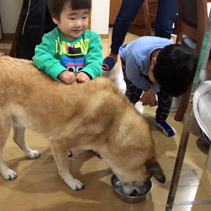 4a171adc 8497 4581 9555 a0a290f85939 1575266114209