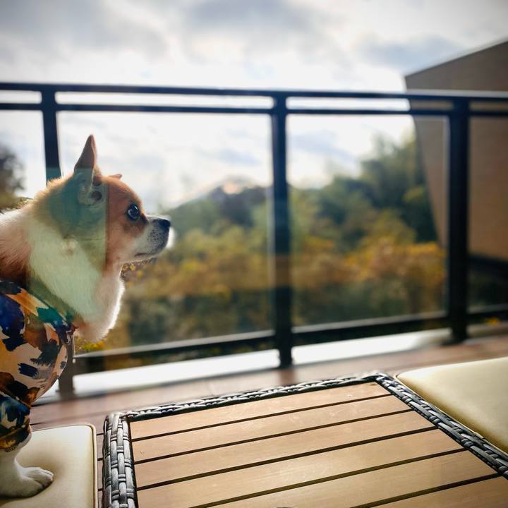 4a174dfd b400 4499 8193 b3763c464a7a 1701046321670