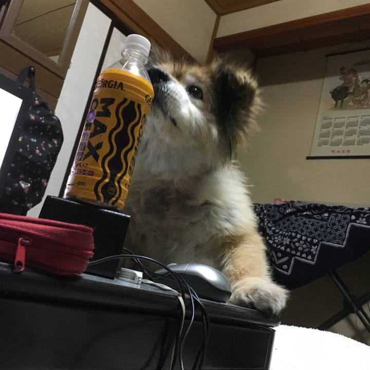 4a1779cb 956e 44dd 8076 8c910ea745d7 1598720932360