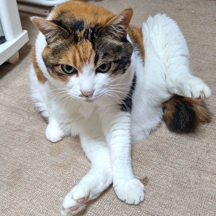 4a179a1c f5aa 475d b8a4 ab815a6deb29 1630900032209