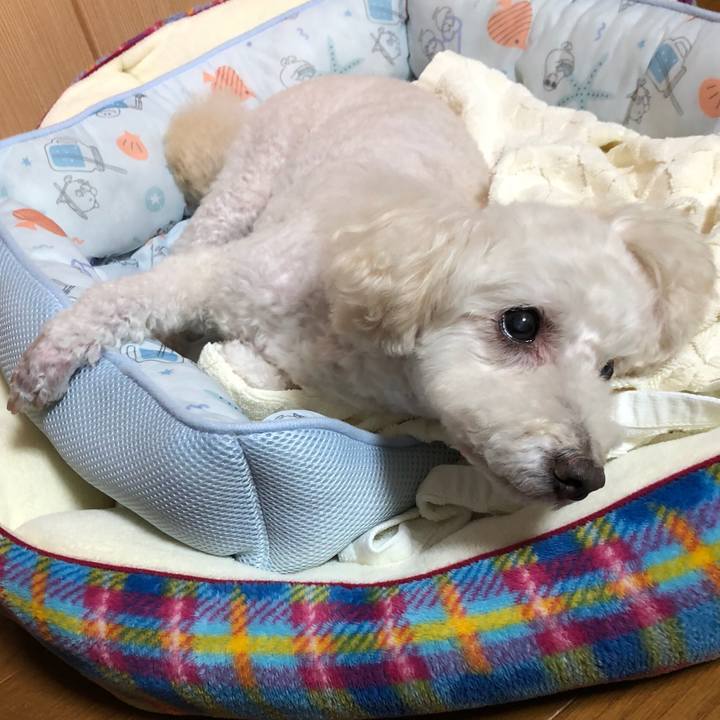 4a17a446 8d62 4850 b16c 0df78834c79e 1536508101051