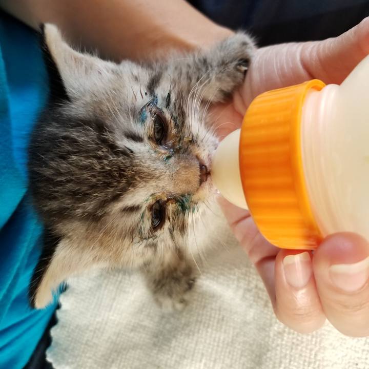 4a182882 467f 49f8 9e1a e16b1e8bea14 1660574846710