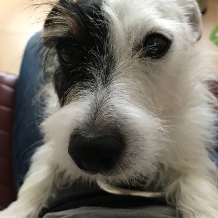 4a188a65 4e53 4970 bbfe d942e769359c 1536883858707