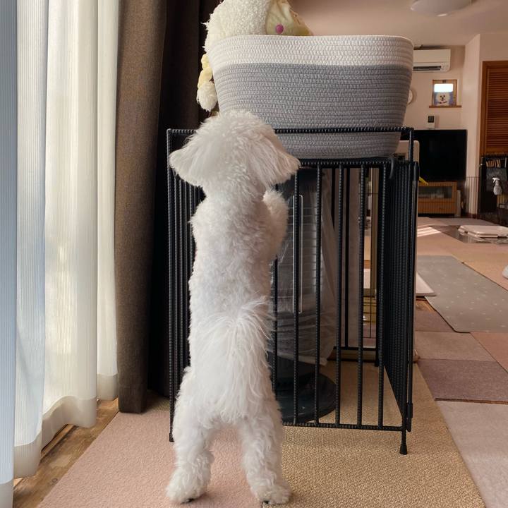 4a189229 b3ff 4e7a 96f7 992beb4b217a 1757888790718