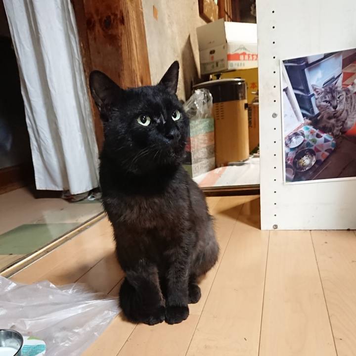 4a18a494 45f7 44f4 9b91 39314834e436 1624361478351