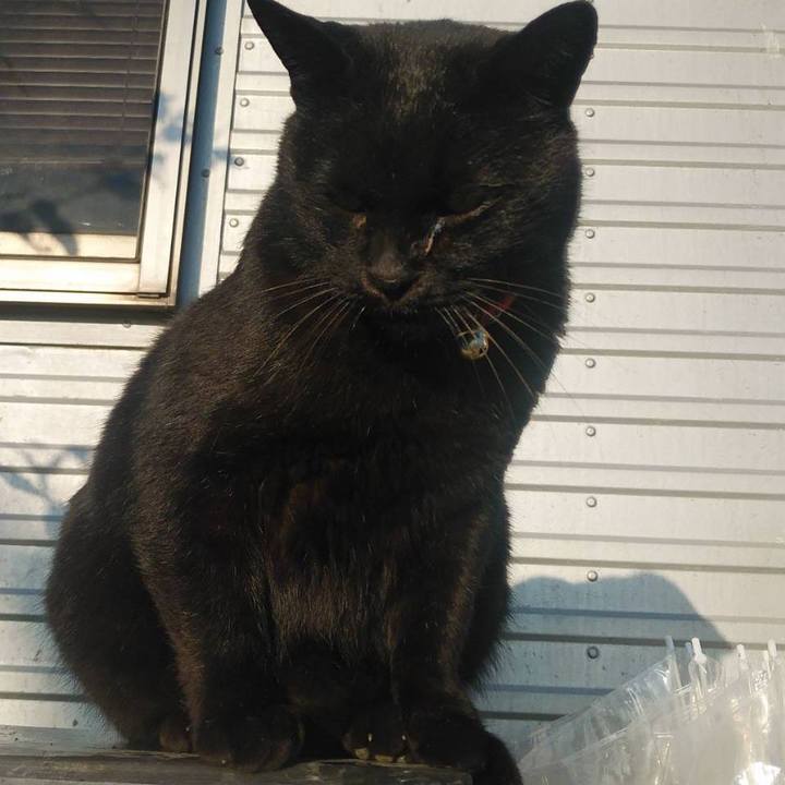 4a18b56e 414a 446b 95ee 3bf9310d4755 1576798729136