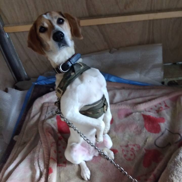 4a18bf15 26a7 477b 9ea4 eb67bbfc552e 1688388733540