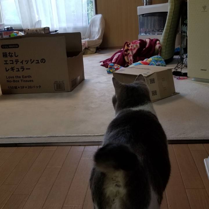 4a18e264 aed0 46af bb8e 3c75d8a496c7 1666250839115