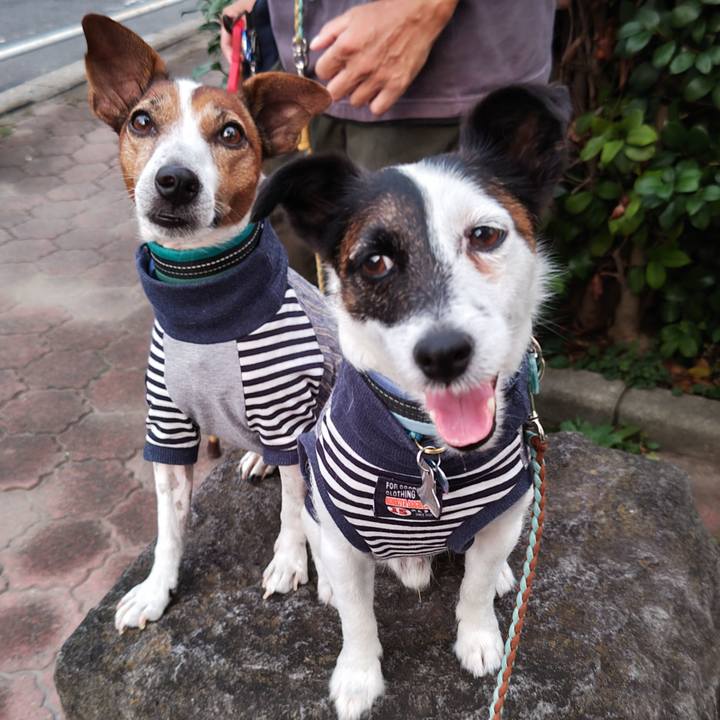 4a190bfc e79d 45e3 9666 ef209a322651 1723287305467