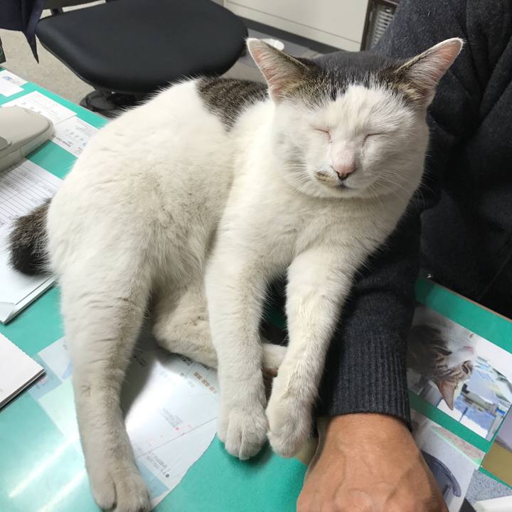 4a190c6a faa3 46ae 8ba3 752a45906c52 1550651902750