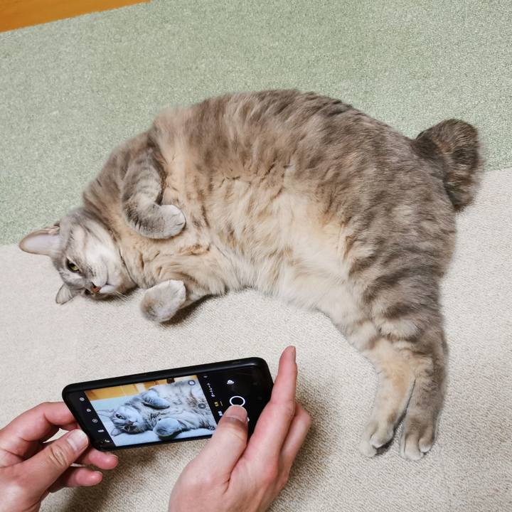 4a192377 a763 4b6d 8e4c 6cf9df2c75b7 1646019832040