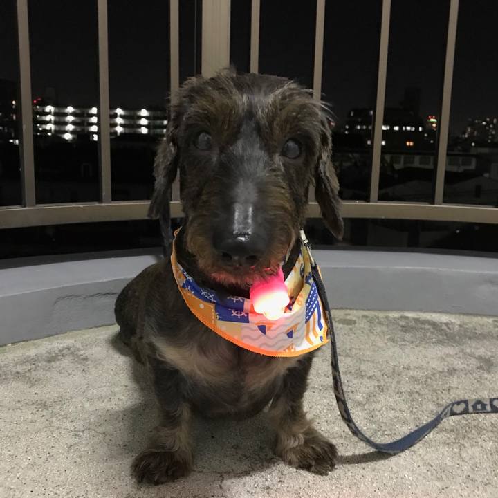 4a193076 0eba 49ce b847 090a4d7451d5 1534514344289