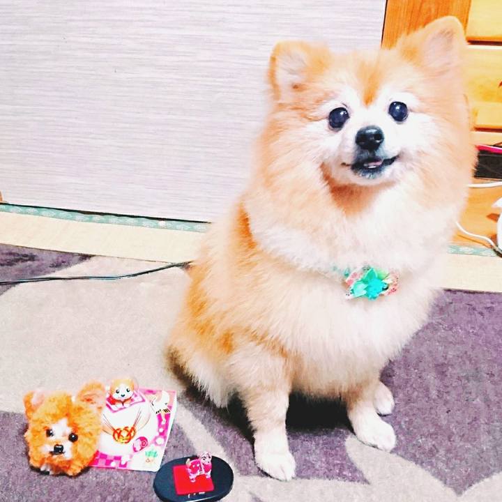 4a194cde fb60 4a32 8f26 59445d827905 1514631941557