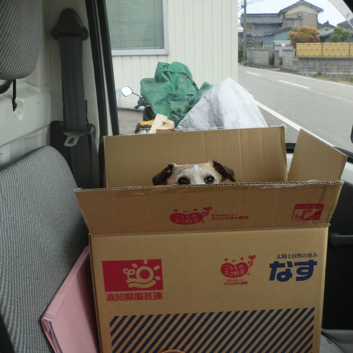 4a199baf 9ca5 401e 9e62 efdc7cc715fb 1525244542206