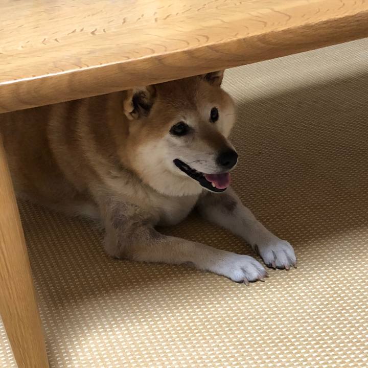 4a19b5ae bcab 47b7 a2fa af2289beda20 1533889642271