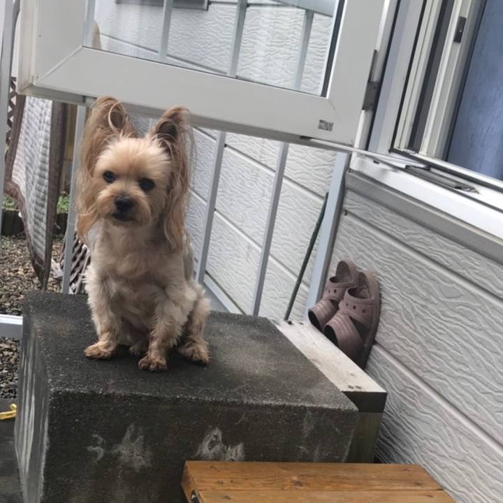 4a19eef5 0906 4a83 a129 1a56ffd883b1 1567943572315