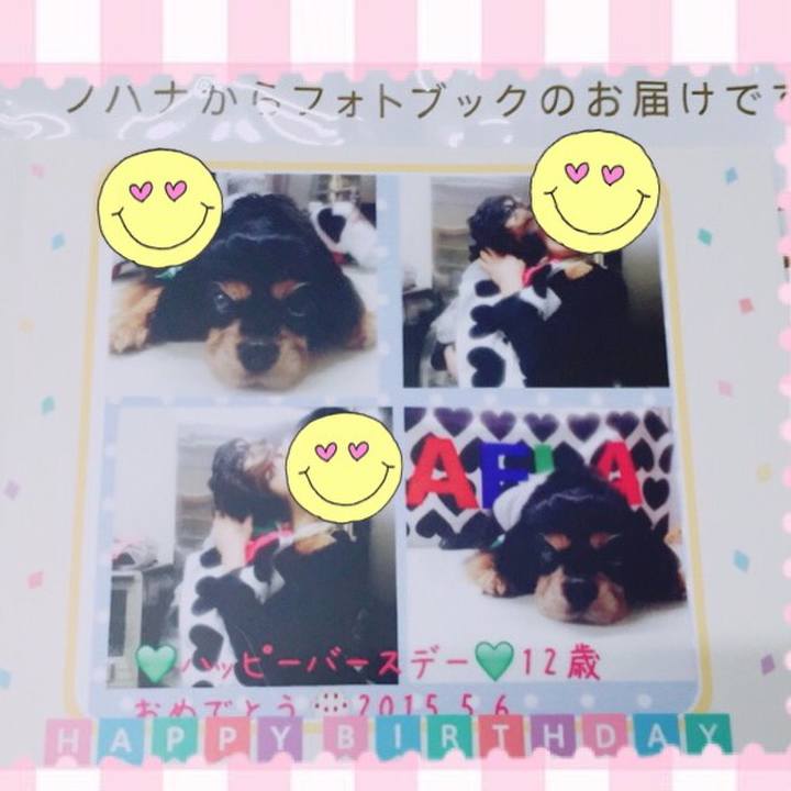 4a1a17c0 1b43 4201 8ecf bb50d29a3c98 1508220398848