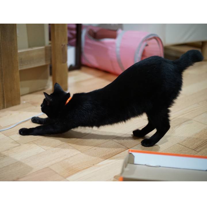 4a1a1db7 7da7 4387 8f6d caf303721bd1 1556767448330