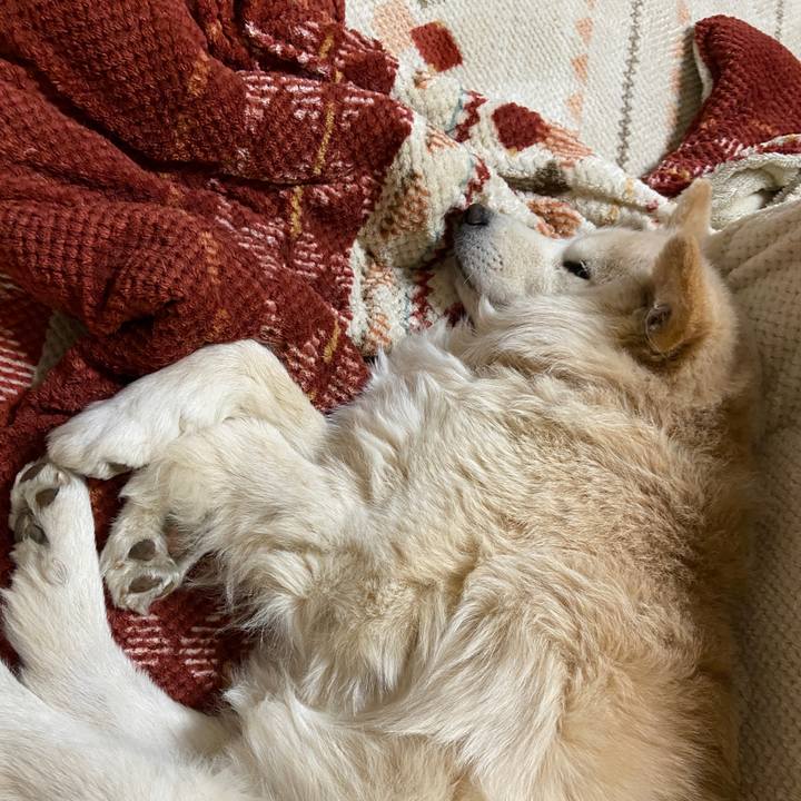 4a1a2797 1bcb 4870 a231 a3c242a67ece 1677551413732