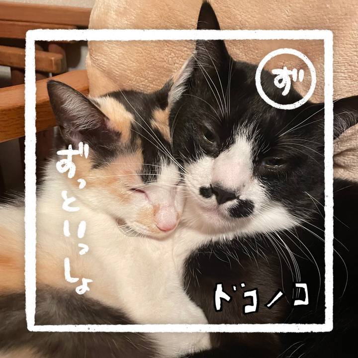 4a1a27b0 b0d2 4efb b97e 24ae0ec65eb8 1685939018469