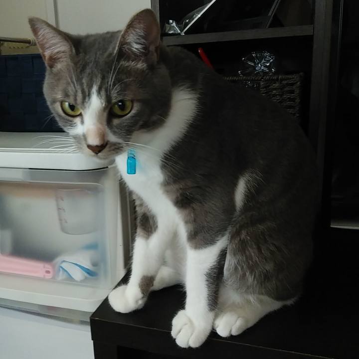 4a1a27eb b543 477c 9cf2 d38721470710 1595632987746