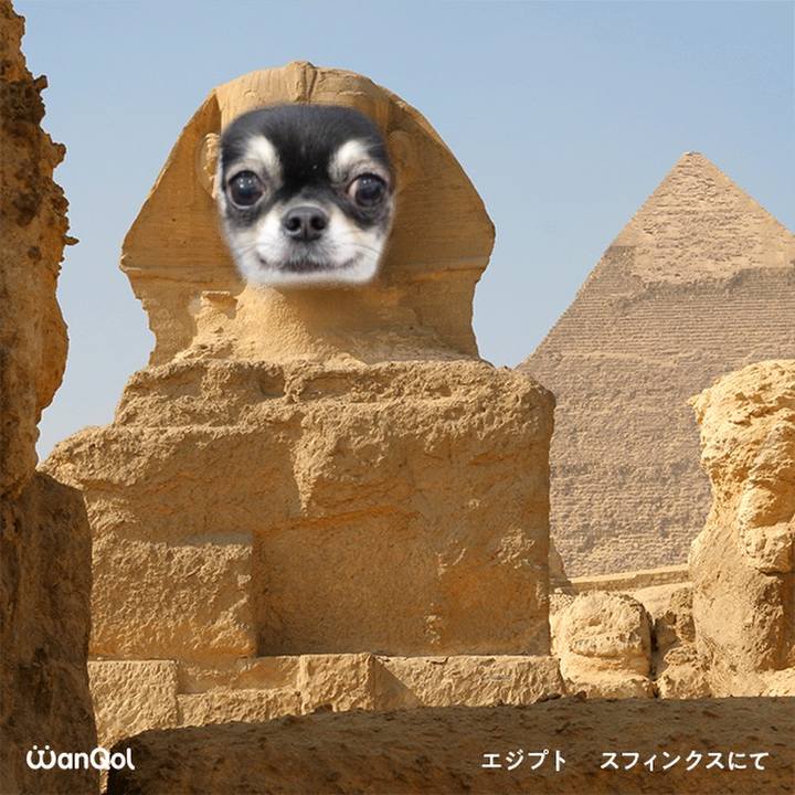 4a1a3752 cb4f 416c 9cbc a8457572d057 1615273570459