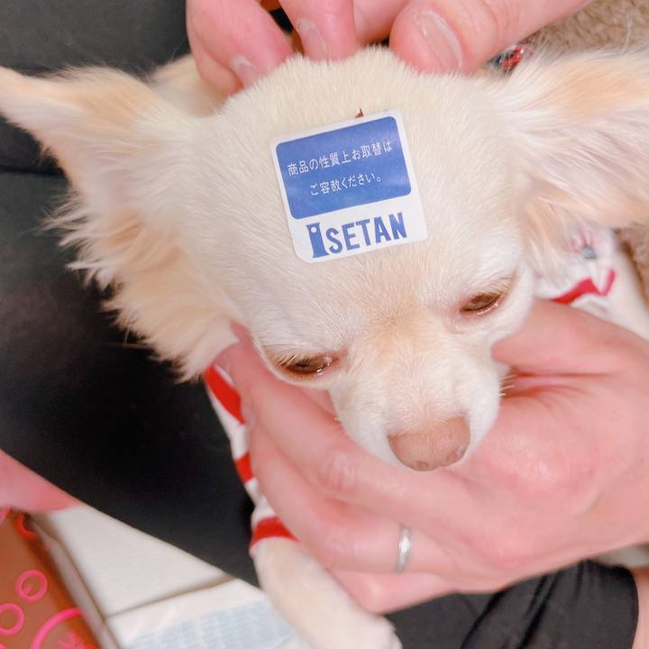 4a1a5c5d 9c67 42a5 8f71 18c19630b4b6 1676455766086