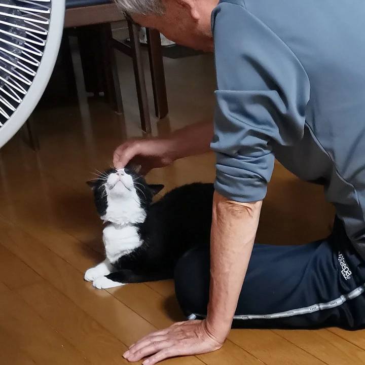 4a1a6a70 fe38 452f bfad 5a6211322aa6 1695455569275