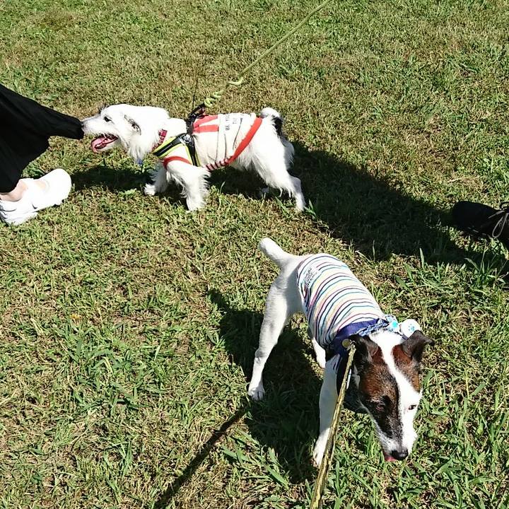 4a1a75c0 87b6 4a94 b674 acdc9498a947 1538914759206