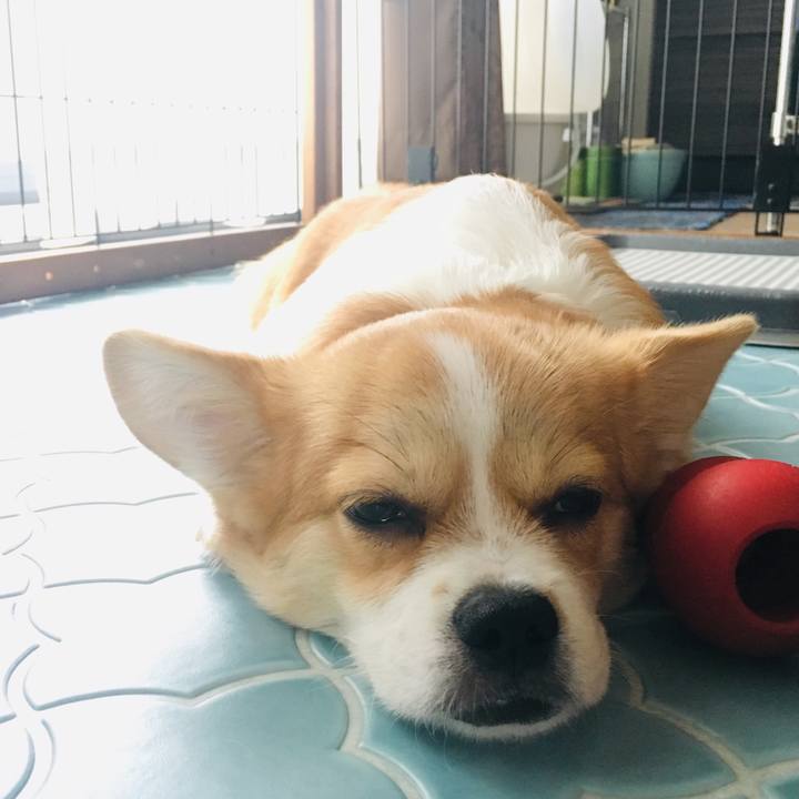 4a1a7e46 f7fb 423d bfb8 71486867c2c0 1562495624891