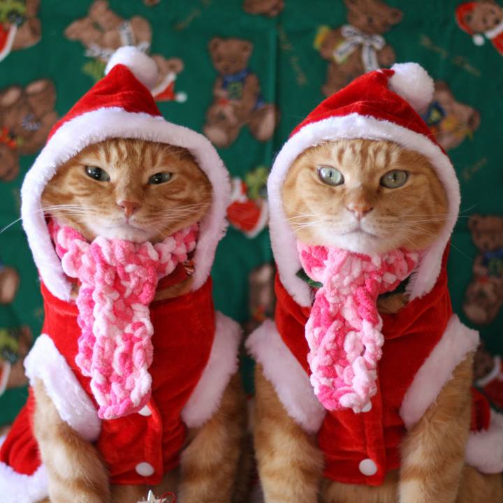 4a1a810b 40a2 4361 a7e3 46f150fd94c0 1514043467236