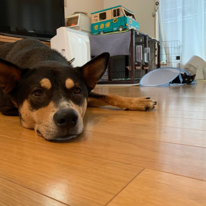 4a1a8264 1118 438c 91e9 7cdb492a7bdd 1567228109797