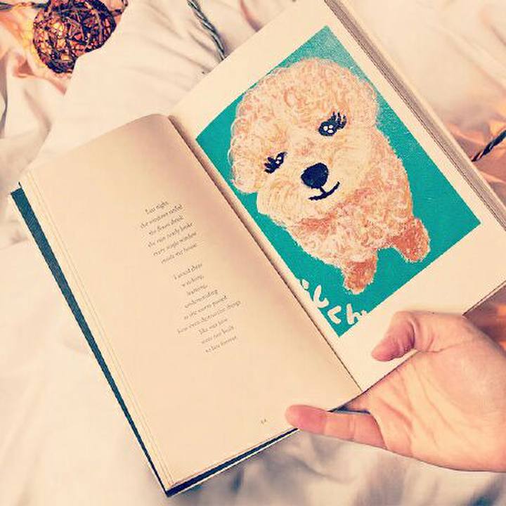 4a1ac092 5d55 42ab aade bb1c03c46b88 1512206656658