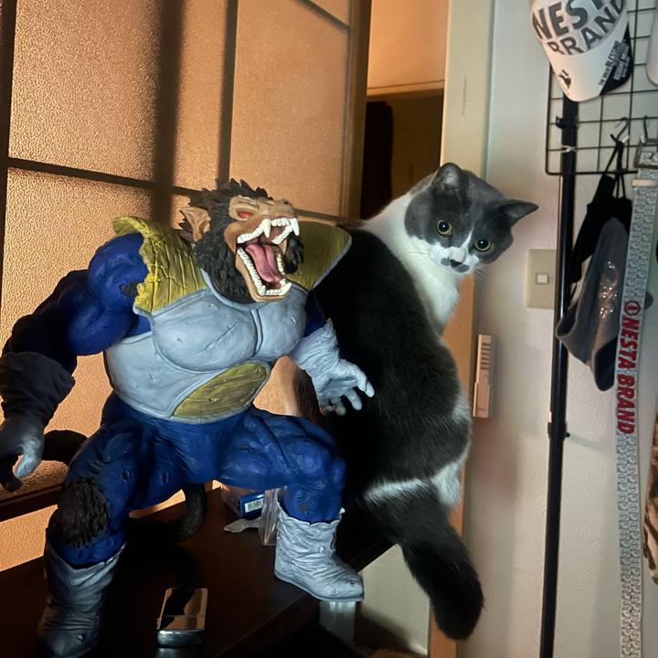 4a1ad43c ba58 453a bc13 6ed77d630c05 1702738330624