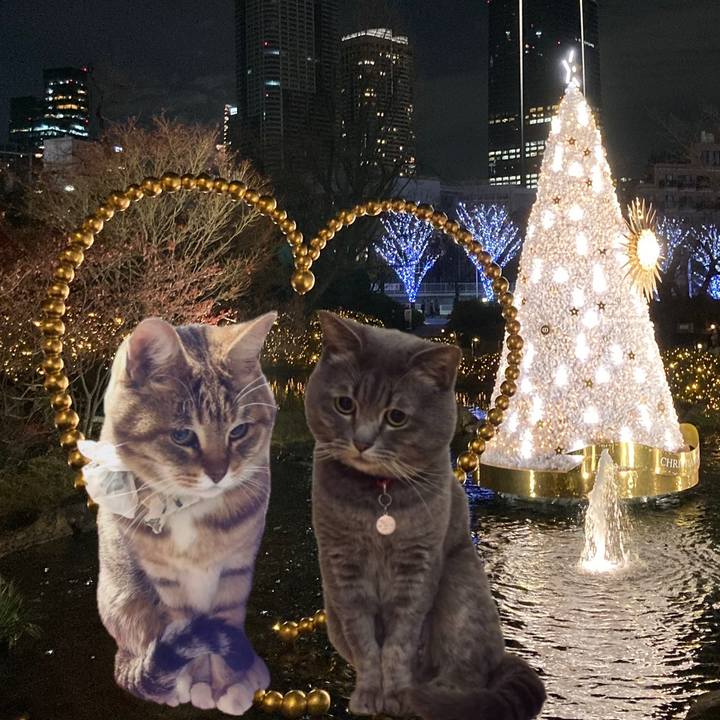 4a1ad5a8 bdff 42ee 9635 1cbd94801b71 1734744204414