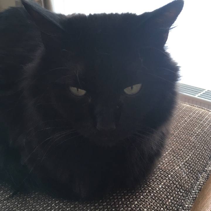 4a1ad5ec 889c 4bdd b85d e1faf6a2e8c6 1519194612431