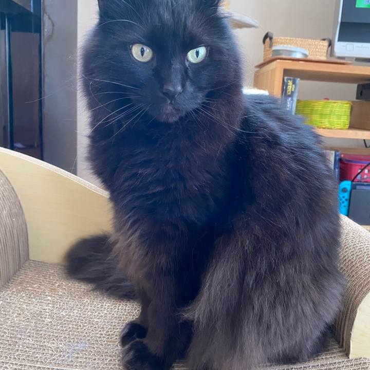 4a1aeaa8 059a 4e18 b612 0b1ba75cfb2e 1591423473880