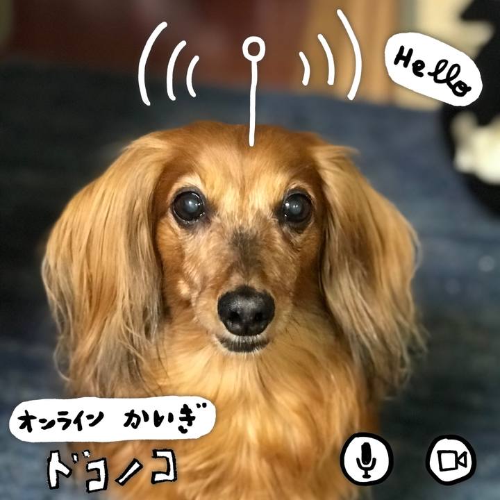 4a1b34e2 ca53 4844 804f 9ceb5ce17531 1590731097099