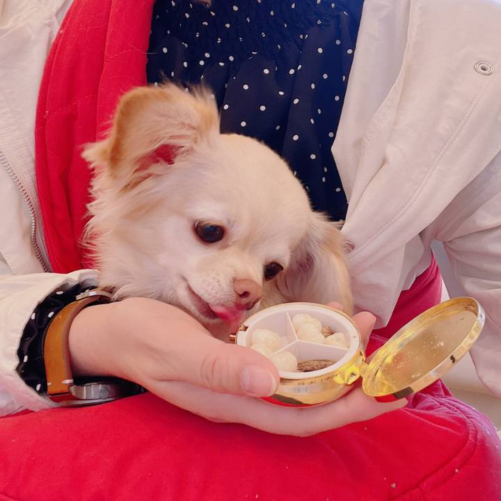 4a1b6068 b419 4418 866d 27b525f20a55 1678869906587