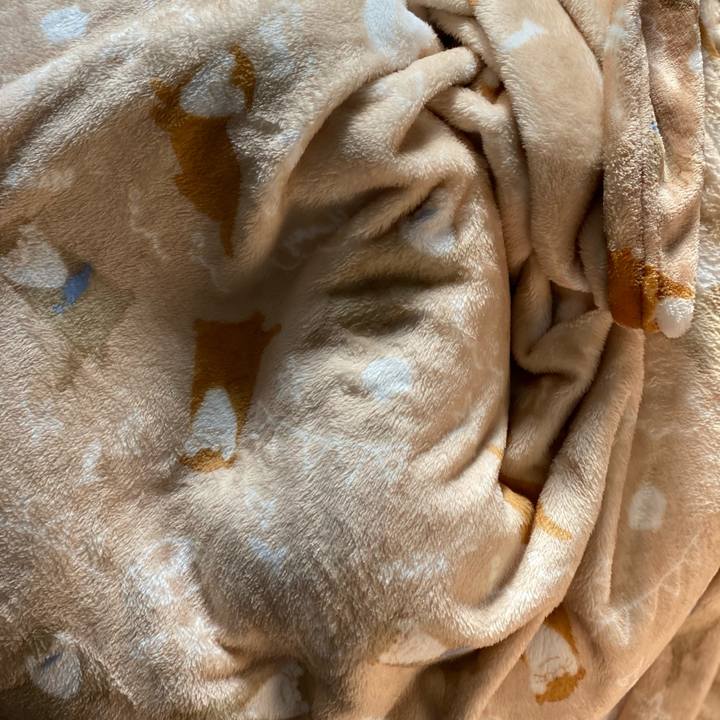 4a1b7a67 420d 46bd 8ff7 d7c8b17e1c07 1607134620865