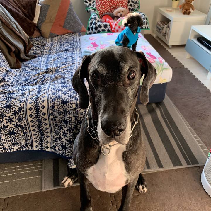 4a1b8d9a 1160 4611 a608 9e60a15394b3 1546901574569