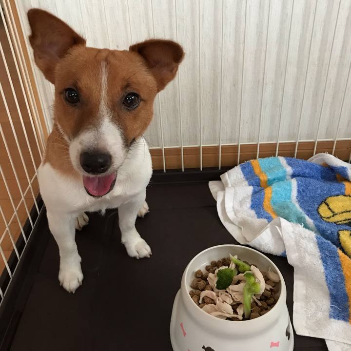 4a1b929b 50a3 4c18 aeaf 05dad7d5d91d 1629932079406