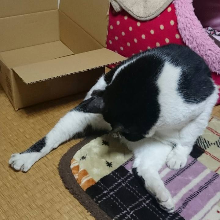 4a1b9862 8cf0 4d58 af05 7b8fdf756e9d 1519547725447