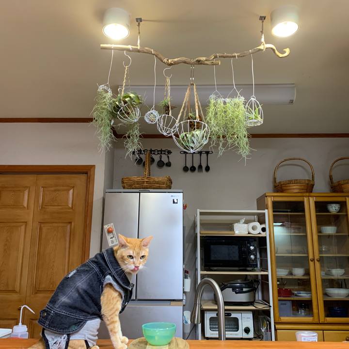 4a1ba9c6 ac3f 458e 98f0 61668fe16508 1652958071303