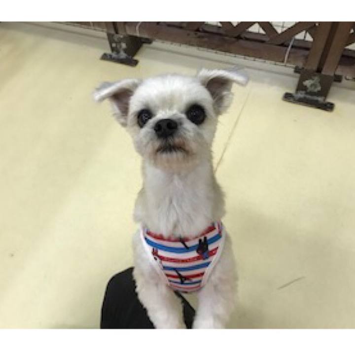 4a1bffc8 91ba 4533 bcbb 4f2c251d550f 1539339861716