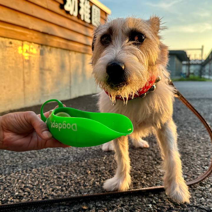 4a1c18cf 4ea3 4e95 995e 42d11c29f857 1751286448824