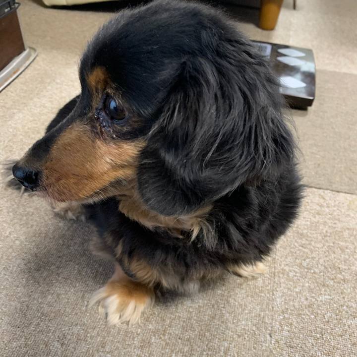 4a1c2ea2 e012 4fac a318 ce55811d33cc 1606859789111